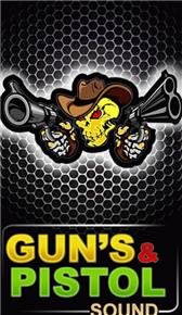 game pic for Guns  Pistol Sound